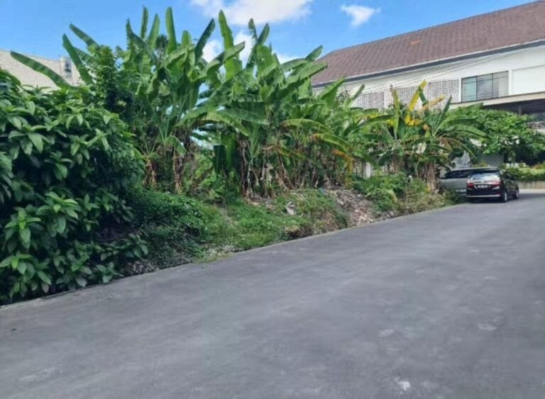 WhatsApp Image 2024-10-02 at 11.17.19 AM