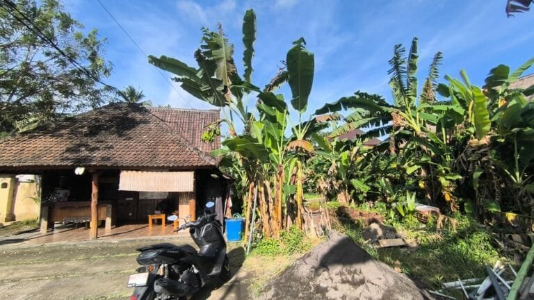 WhatsApp Image 2025-06-02 at 5.07.25 PM (2)