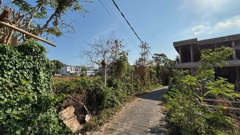 WhatsApp Image 2025-08-29 at 1.55.23 PM