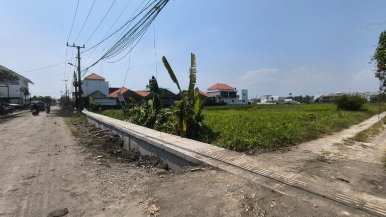 WhatsApp Image 2025-08-29 at 11.38.09 AM (1)