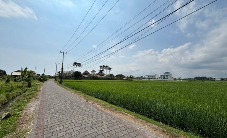 WhatsApp Image 2025-08-29 at 12.51.50 PM