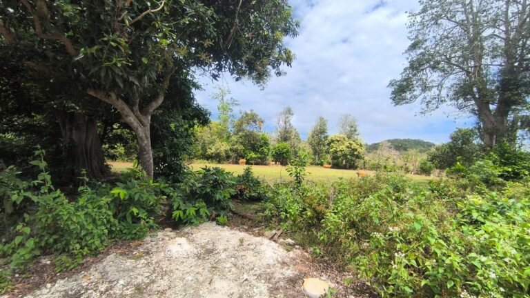 WhatsApp Image 2025-08-29 at 2.32.06 PM (1)